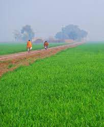 Das Meinu Problem Village Photography Sunset Photography Nature Landscape Photography Nature