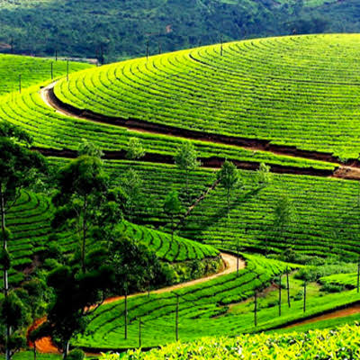Kausani Uttarakhand Tourism: Scenic Spots, Resorts & Trekking
