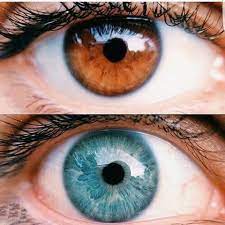 Аквамариновые глаза