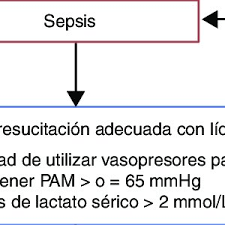 Actualmente los nuevos conceptos (y nuevos enfoques) de sepsis y shock. Pdf Actualizacion En Sepsis Y Choque Septico Nuevas Definiciones Y Evaluacion Clinica