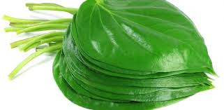 Kemudian campurkan dengan air mandian. 6 Cara Menghilangkan Bau Badan Tips Petua Mudah