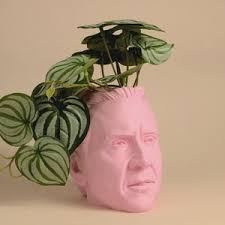 The Original Danny Devito Frank Reynolds Head Planter for House Plants and  Succulents