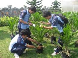 Selamat datang di dosen.co.id, web digital berbagi ilmu pengetahuan. 4 Kegiatan Kampus Yang Berguna Untuk Para Mahasiswa Prisma Profesional