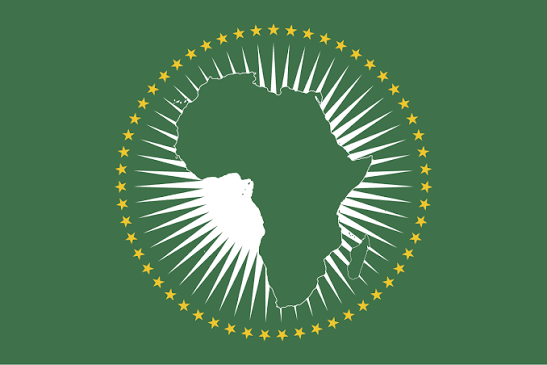 Programme de Stage de l'Union Africaine