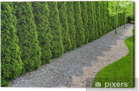 Insofern, als wir den schuleigenen garten als. Leinwandbild Gepflegter Formaler Garten Mit Einem Weg Von Kleinen Steinen Von Hecke Und Von Grunem Rasen Konzentrieren Sie Sich Auf Hintergrund Pixers Wir Leben Um Zu Verandern