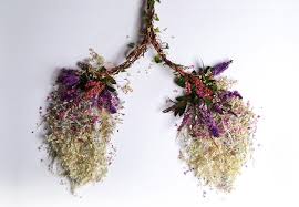 Check spelling or type a new query. Juxtapoz Magazine Eye Heart Spleen Human Organs Made From Plants By Camila Carlow