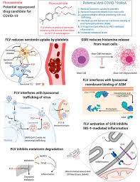 Image result for Fluvoxamine