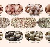 Peanut optical sorting machines-Aflatoxin removal