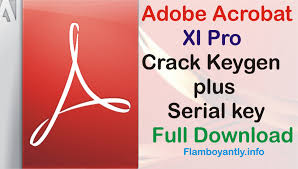 Avoid using jargon or acronyms. Adobe Acrobat X Pro Trial Image By Heepanfr6