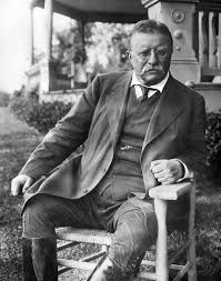 Image result for Theodore Roosevelt