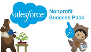 Top Seven Features Of Salesforce Nonprofit Success Pack Npsp Non Profit Success Packing