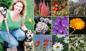 Maybe you would like to learn more about one of these? Charlie Dimmock Issues Warning Over Flowers Shrubs And Trees That Harm Your Pet Daily Mail Online
