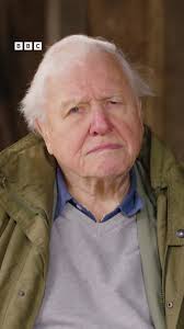 Taking Action for Wildlife Conservation