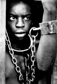 Roots of the problem: the controversial history of Alex Haley's book