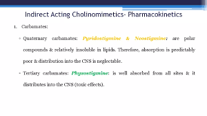 Image result for Cholinergic Toxicity