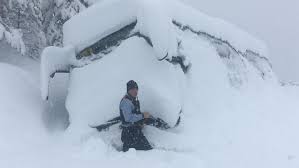 Bildresultat för nieve