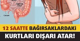 1 Gun Sonra Bagirsaginizdaki Kurtlarin Dokuldugunu Goreceksiniz Kadinin Gozunde Saglik Bakim Saglik Recete