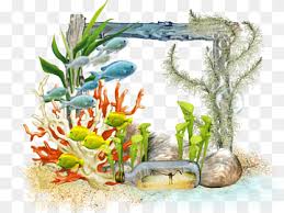 أحواض السمك ذهبية الأسماك الاستوائية الحيوانات الأليفة والأسماك حصان زجاج حيوانات Png