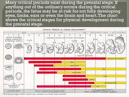 Studies The Way A Childs Behaviour Changes As The Child