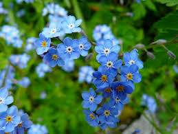 The flowers you choose can be the same or similar to the ones for a traditional funeral. A Good Send Off Creative Ideas For A Special Funeral Funeral Guide