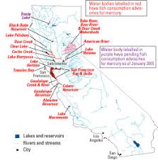 There are even reports that miners have found gold on the beach in the area where the river enters the pacific ocean. Mercury Contamination From Historical Gold Mining In California