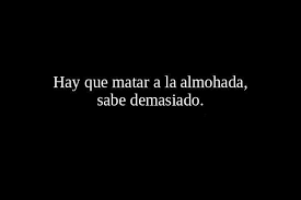 Xd Use Google Translator And Translate It From Spanish To English It S Hilarious Humor Sarcasmo Frases Pensamientos Citas