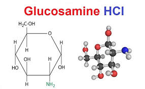 Glucosamine HCl là gì? Vì sao được sử ...