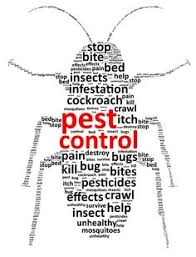 Small office spaces can cost up to ₦40,000 to fumigate. 30 Pest Control Services Ideas Pest Control Services Pest Control Pests