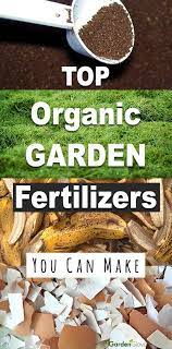 Best Organic Garden Fertilizers You Can Make The Garden Glove Garden Fertilizer Organic Gardening Organic Gardening Tips