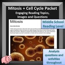 We did not find results for: Mitosis Reading Worksheets Teaching Resources Tpt