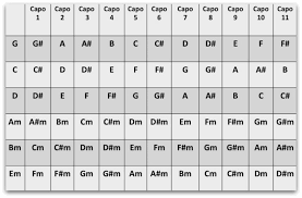 Capo Chart Learn Every Chord Instantly National Guitar