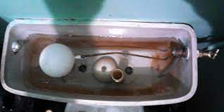 We did not find results for: Changer Un Vieux Mecanisme De Chasse D Eau Lequel Choisir