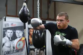 Download lagu canelo alvarez training mp3 gratis 320kbps (4.87 mb). Canelo Alvarez Training Camp Notes And Quotes Boxinginsider Com