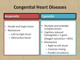 Image Result For Cyanotic And Acyanotic Heart Defects Congenital Heart Disease Pediatric Heart Congenital Heart