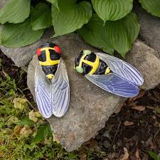 How to prepare for a swarm of cicadas this year—and why you should never kill them. 6 Cicada Themed Goodies To Bug Out Over Washingtonian Dc