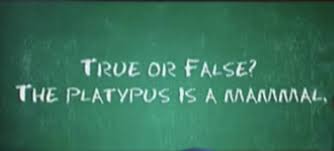 Pixie dust, magic mirrors, and genies are all considered forms of cheating and will disqualify your score on this test! Lagbh35kwacp3m