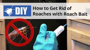 Skip to main search results. How To Do A General Pest Spray Application Domyown Com Youtube