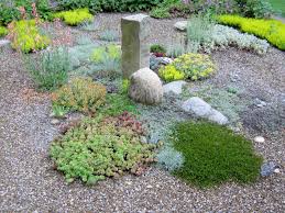 Pin On Sunny Rock Garden