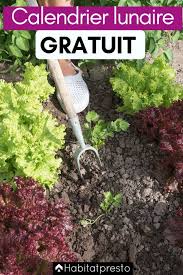 Comment Jardiner Avec La Lune Votre Calendrier Lunaire 2020 Calendrier Lunaire Calendrier Lunaire Jardin Calendrier Potager