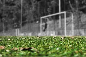 Unlike the playing surfaces for football, basketball, hockey, tennis and most other sports, not all soccer pitches are created equally. The Soccer Field Football Free Photo On Pixabay