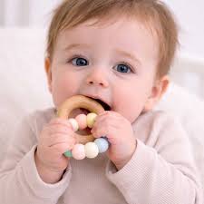 Tomica Isuzu Giga Tomica 125 Jual Tomica Diecast Mobil Isuzu Giga Wood Long  No 125 Terbaru