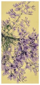 Choose a preset image from a group at the top of the screen (dynamic, stills, and so on). Picture Meaning Jacaranda Mobile Phone Wallpaper Backgrounds Images Free Download 400471293 Lovepik Com