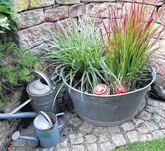 Pin Auf Garten