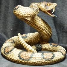Rangers in australia could hardly believe their eyes when they came across a wild snake with three functioning peepers on its head. Snake Eyes Rattlesnake Snake Statue Figurine Dwk Western Colorcard De