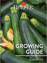 We did not find results for: Learn About Zucchini Burpee