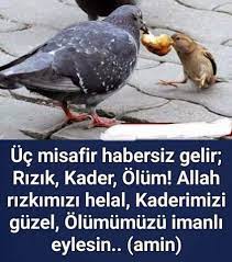 s c adli kullanicinin guzel sozler panosundaki pin dualar inanc dini alintilar