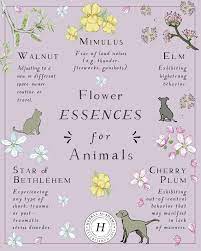 How To Use Herbs To Care For Pets Herbal Academy Flower Essences Herbalism Magical Herbs