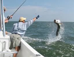 Florida 2015 Fishing Calendar