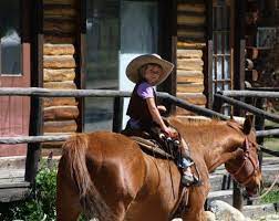 Medicine Bow Lodge And Adventure Guest Ranch The Dude Ranchers Association Dude Ranch Guest Ranch Saratoga Wyoming