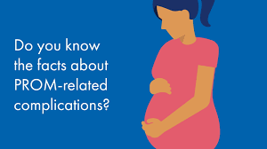 Image result for AmniSure ROM Test